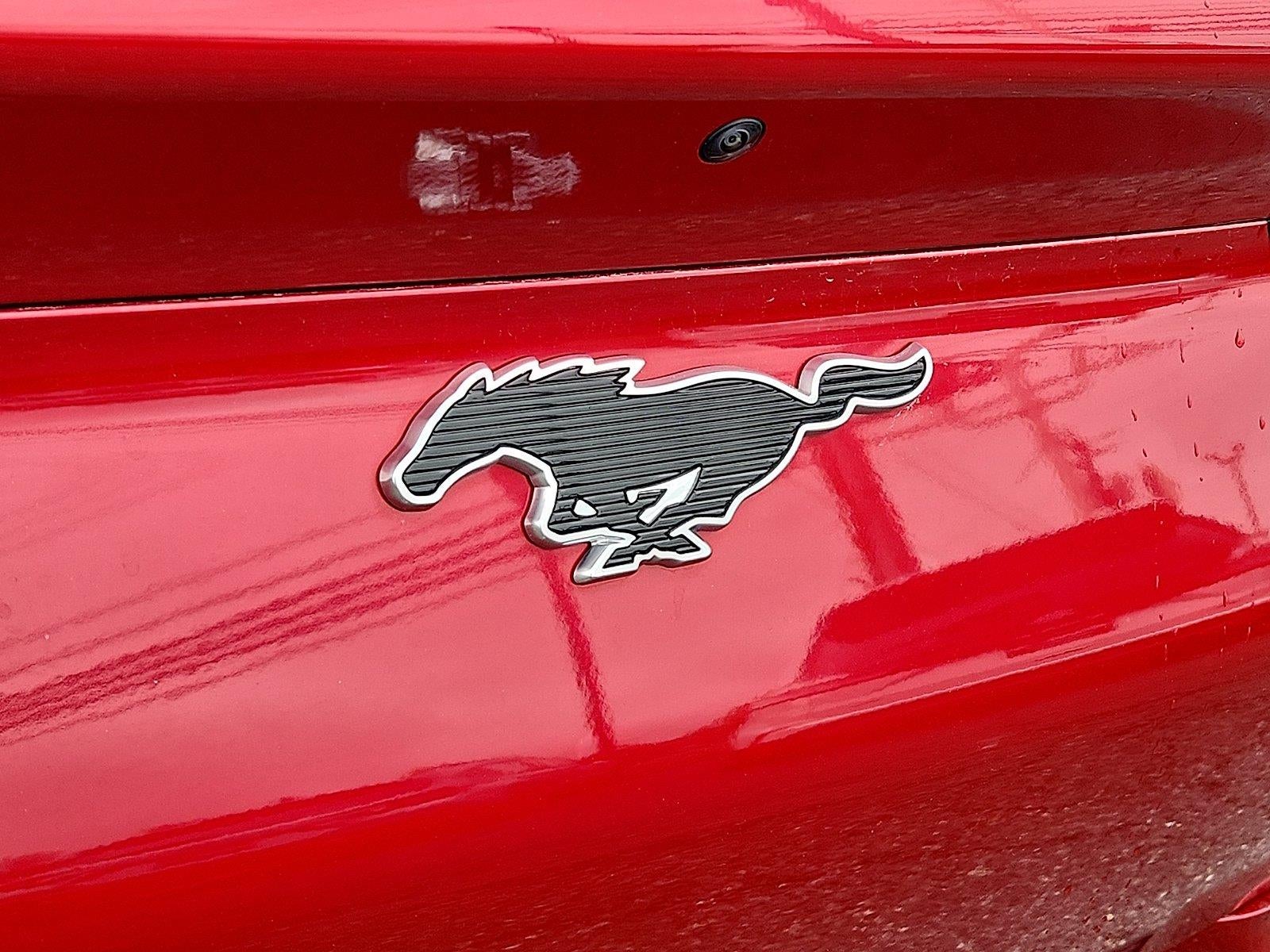 2023 Ford Mustang Mach-E California Route 1
