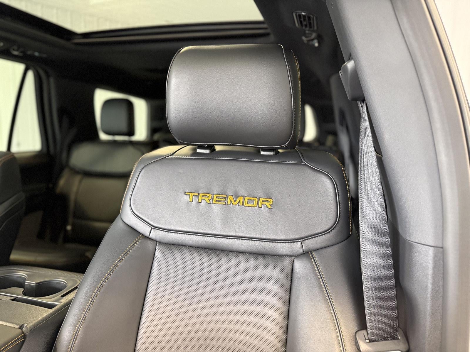 2025 Ford Expedition Tremor