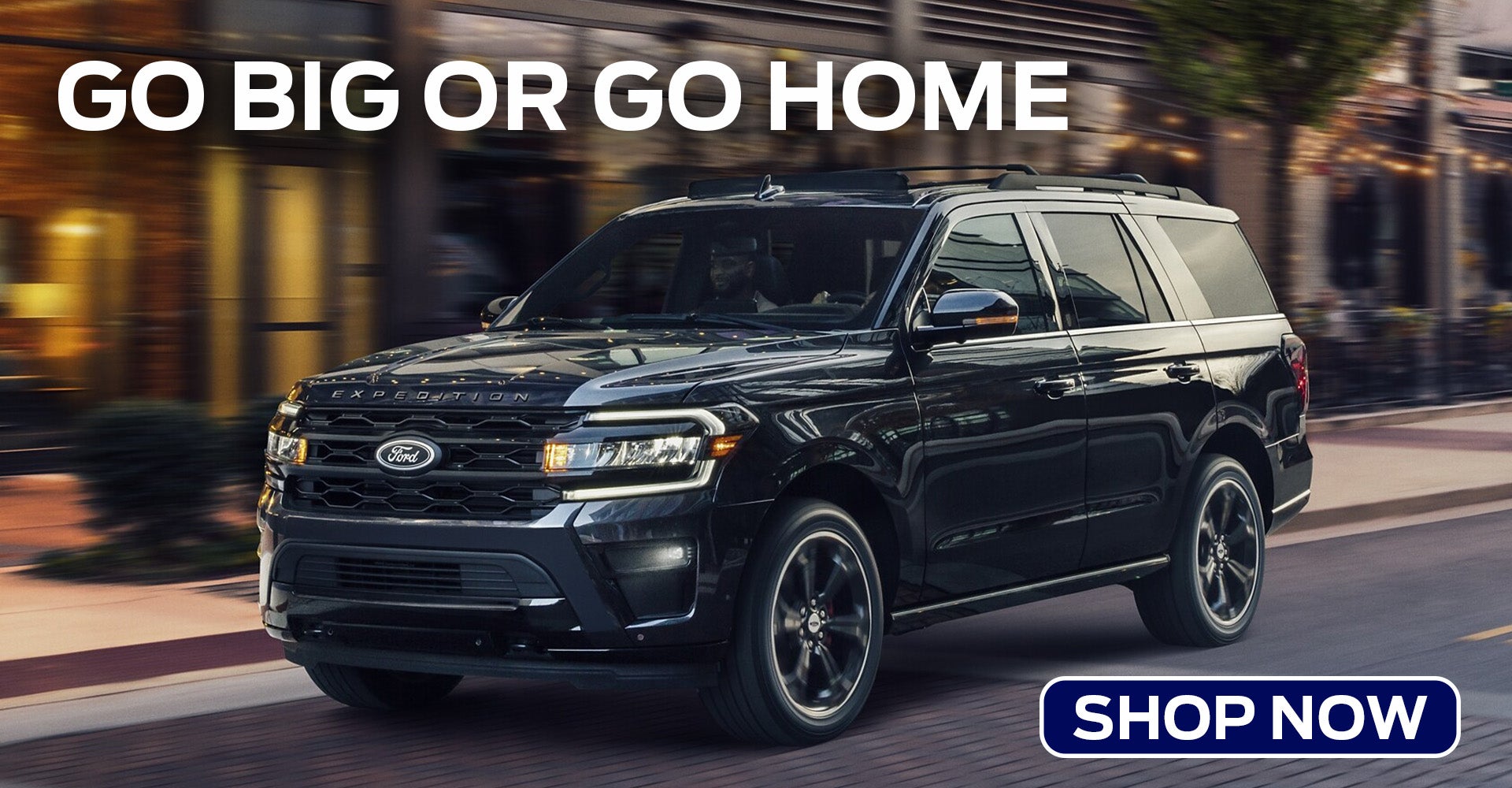 2025 Ford Expedition